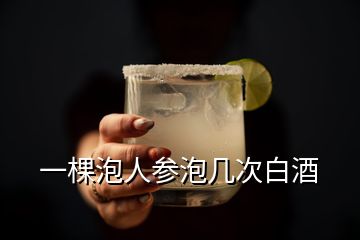 一棵泡人参泡几次白酒