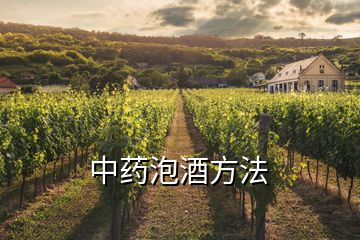 中药泡酒方法