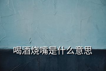 喝酒烧嘴是什么意思