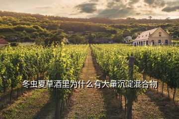 冬虫夏草酒里为什么有大量沉淀混合物