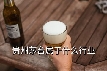 贵州茅台属于什么行业