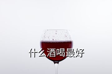 什么酒喝最好