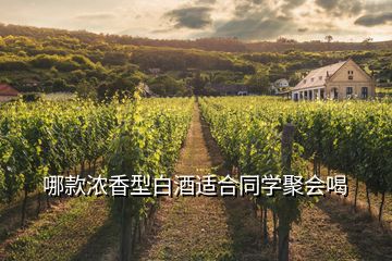 哪款浓香型白酒适合同学聚会喝