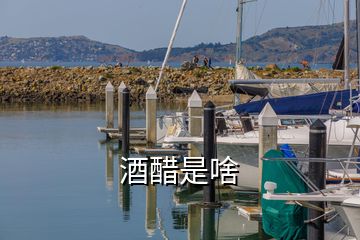 酒醋是啥