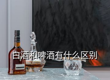 白酒和啤酒有什么区别