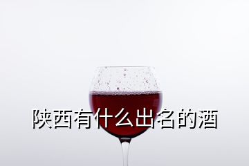 陕西有什么出名的酒