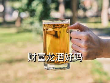 财富龙酒好吗