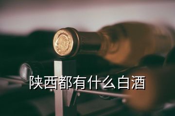 陕西都有什么白酒