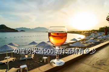 40度的米酒500亳升酒精有多少