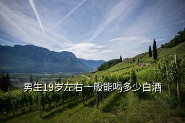 男生19岁左右一般能喝多少白酒