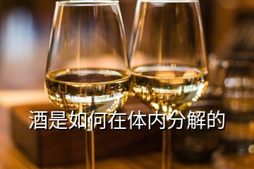 酒是如何在体内分解的