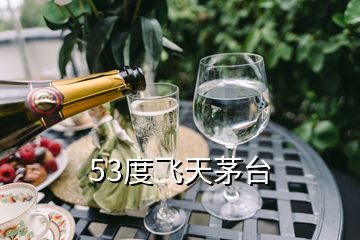 53度飞天茅台