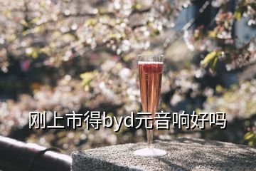 刚上市得byd元音响好吗