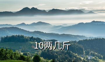 10两几斤