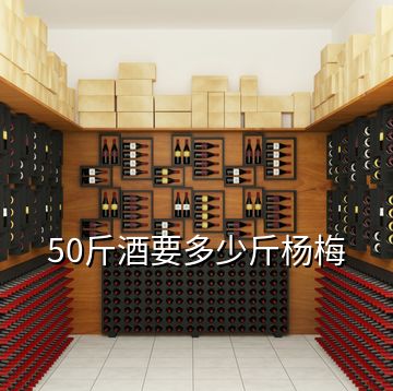 50斤酒要多少斤杨梅