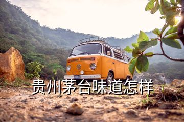 贵州茅台味道怎样