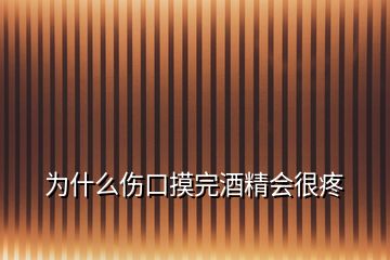 为什么伤口摸完酒精会很疼