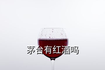 茅台有红酒吗