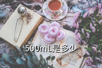 500mL是多少