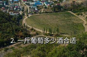 2. 一斤葡萄多少酒合适