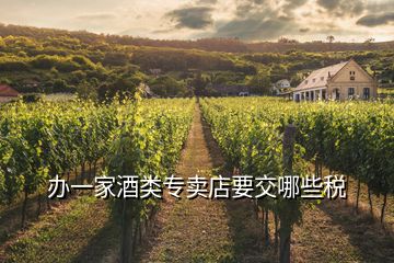 办一家酒类专卖店要交哪些税