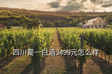 四川蜀一白酒3499元怎么样