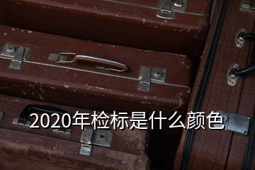 2020年检标是什么颜色