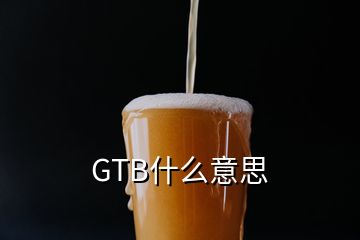 GTB什么意思