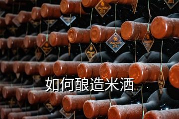 如何酿造米洒