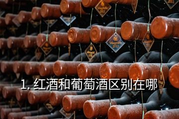 1. 红酒和葡萄酒区别在哪