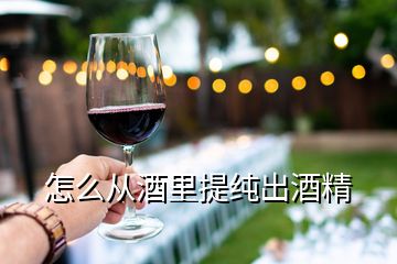 怎么从酒里提纯出酒精