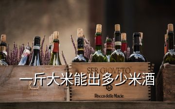 一斤大米能出多少米酒