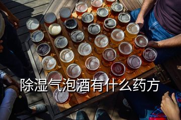 除湿气泡酒有什么药方