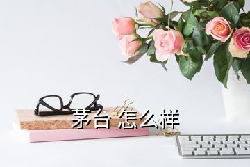 茅台 怎么样