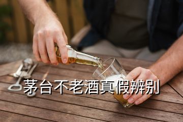 茅台不老酒真假辨别