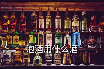 泡酒用什么酒