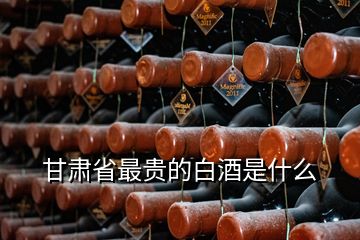 甘肃省最贵的白酒是什么