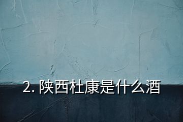 2. 陕西杜康是什么酒