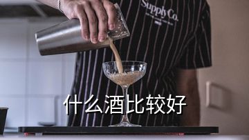 什么酒比较好