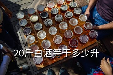 20斤白酒等于多少升