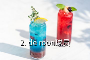 2. de roon球员