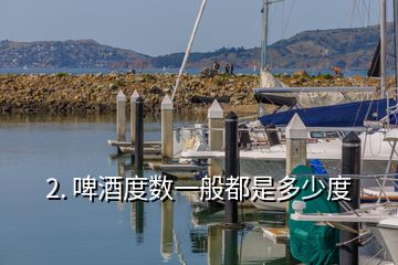 2. 啤酒度数一般都是多少度