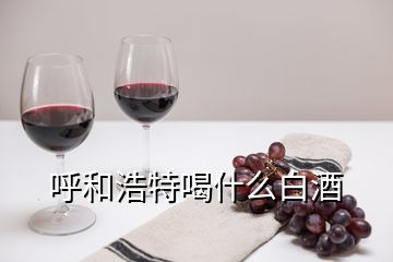 呼和浩特喝什么白酒