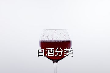 白酒分类