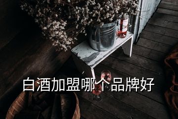 白酒加盟哪个品牌好