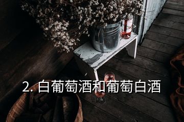 2. 白葡萄酒和葡萄白酒