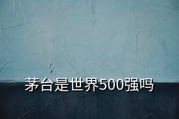 茅台是世界500强吗