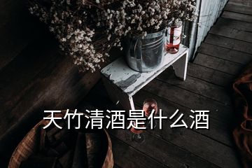 天竹清酒是什么酒