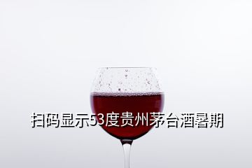 扫码显示53度贵州茅台酒暑期