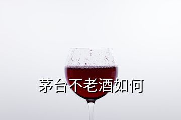 茅台不老酒如何